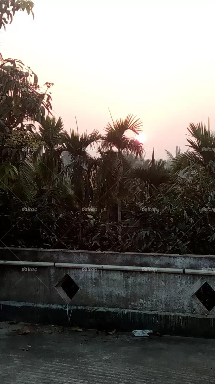 sun set