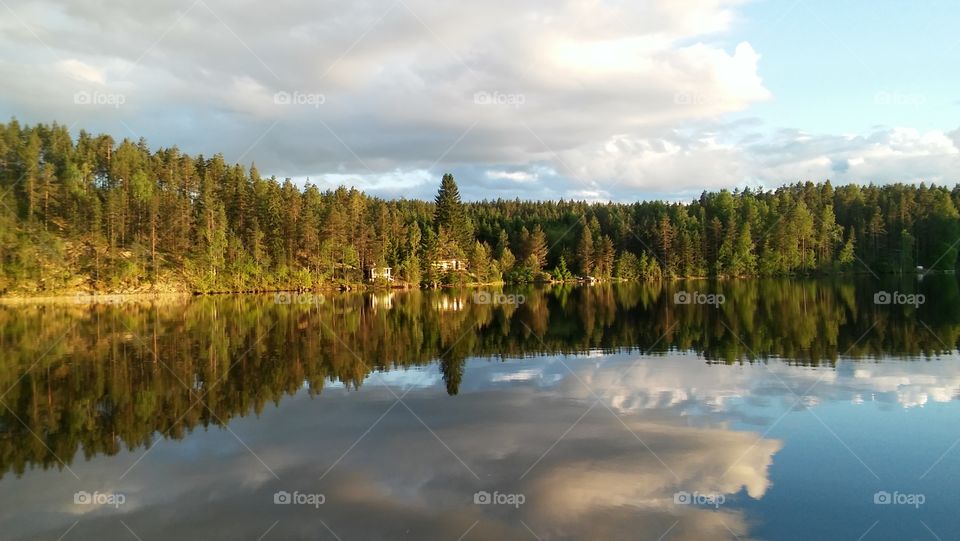 Reflection of birches, pines and spruces trees on lake