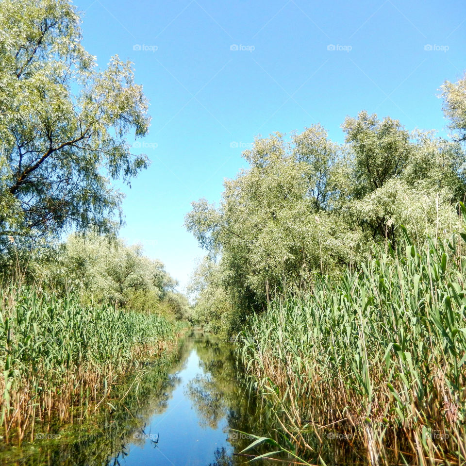 water path in Danube Delta trip
