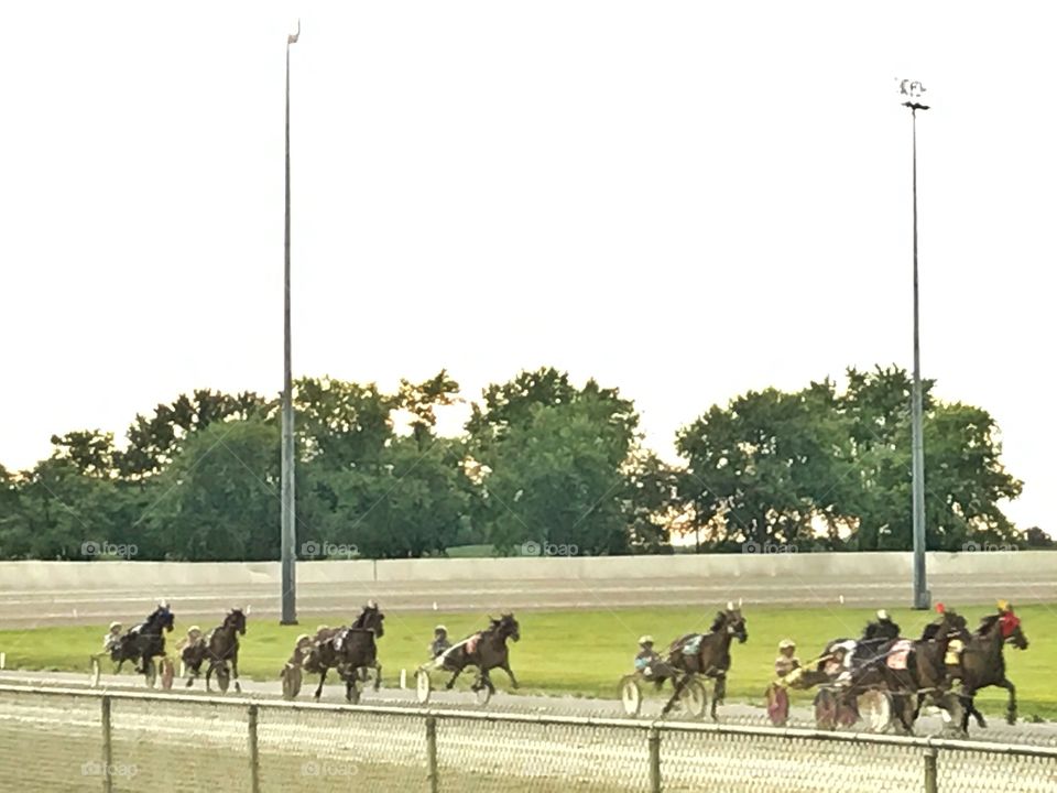 Horse racing at the races