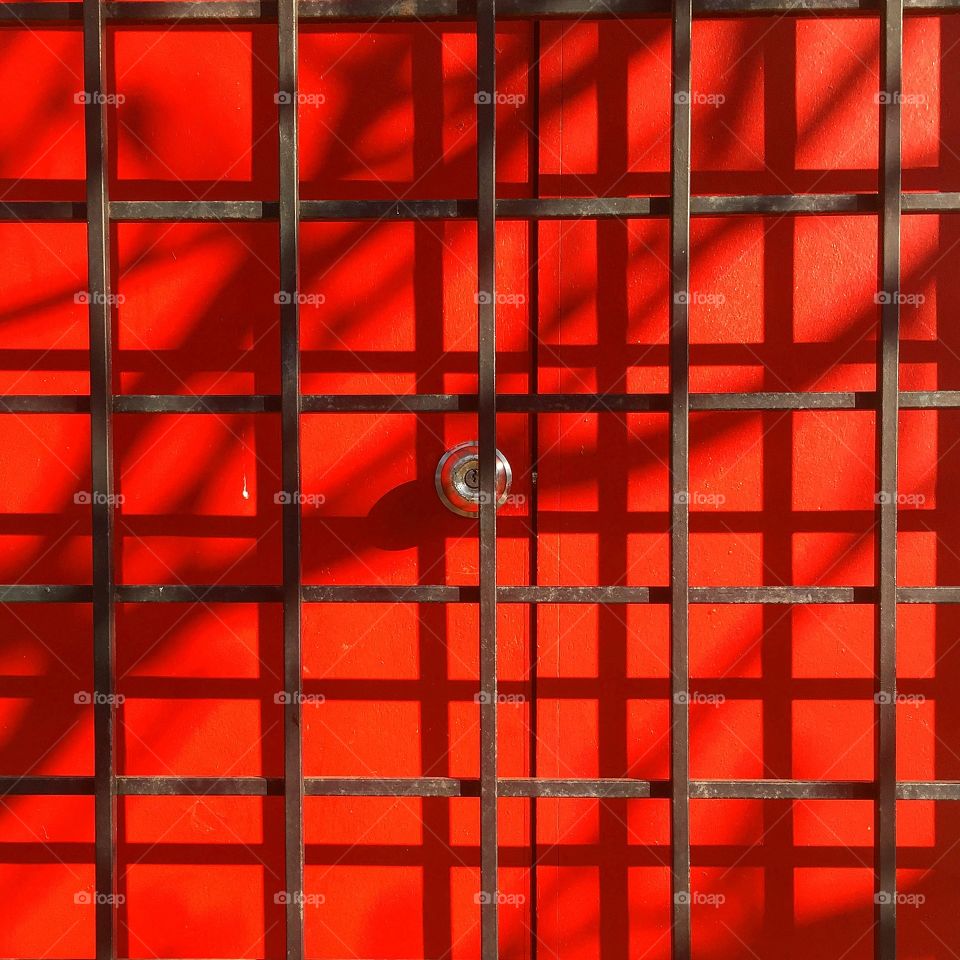 Door and security system