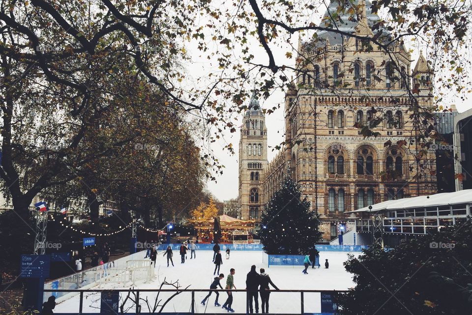 Ice skating at Natural History Museum