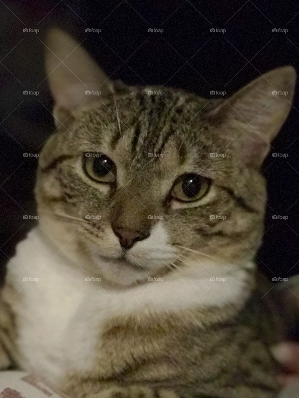 Don’t mess with me 