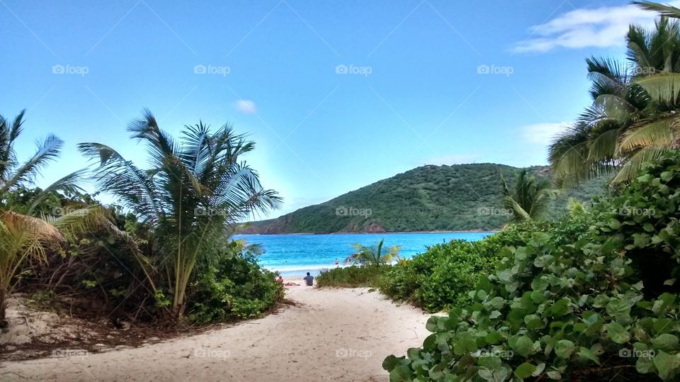 Flamenco Beach, Puerto Rico. The path leading into the beach offers a glimpse into what the Discovery Channel's 3rd Most Beautiful Beach has to offer.