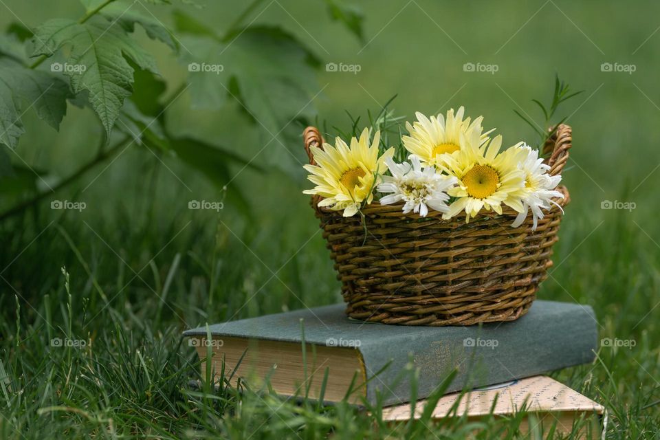 A wicker basket with yellow daisies in a garden 
