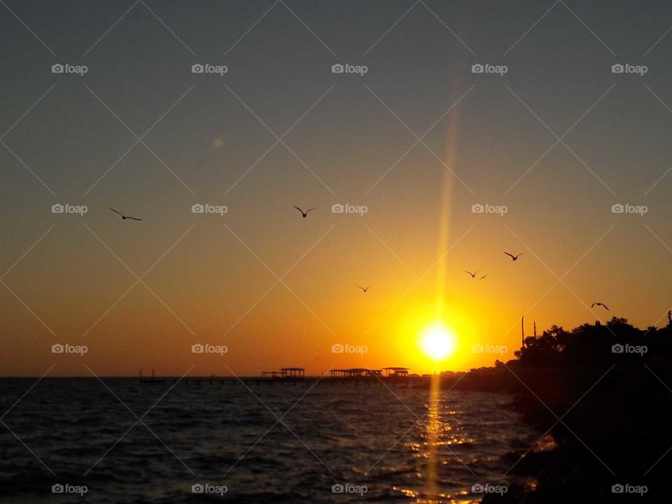 sunrise on Galveston Bay 231