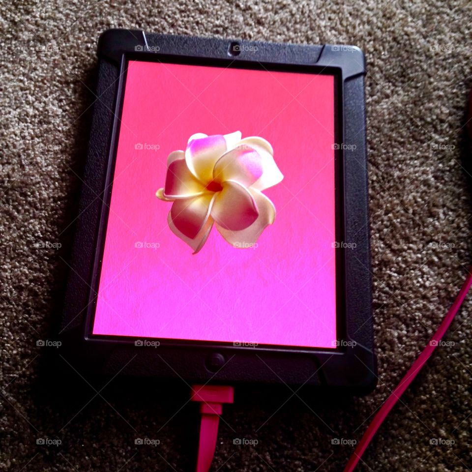 Pink Color Pink

Published by:
HappyBrownMonkey 