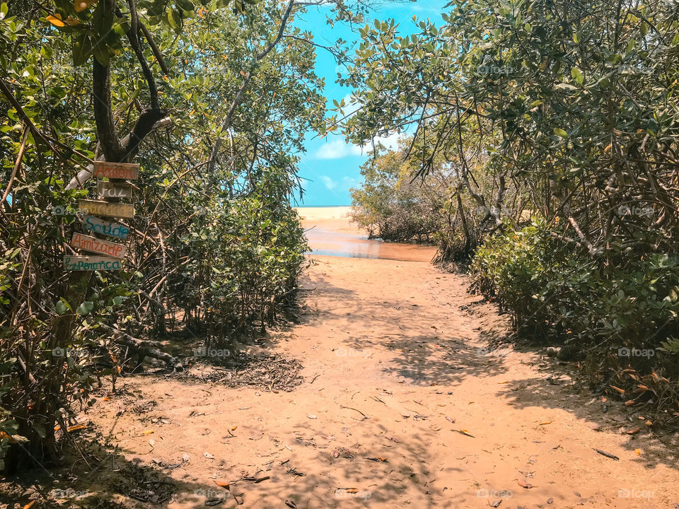 way to red crown beach Bahia Brazil