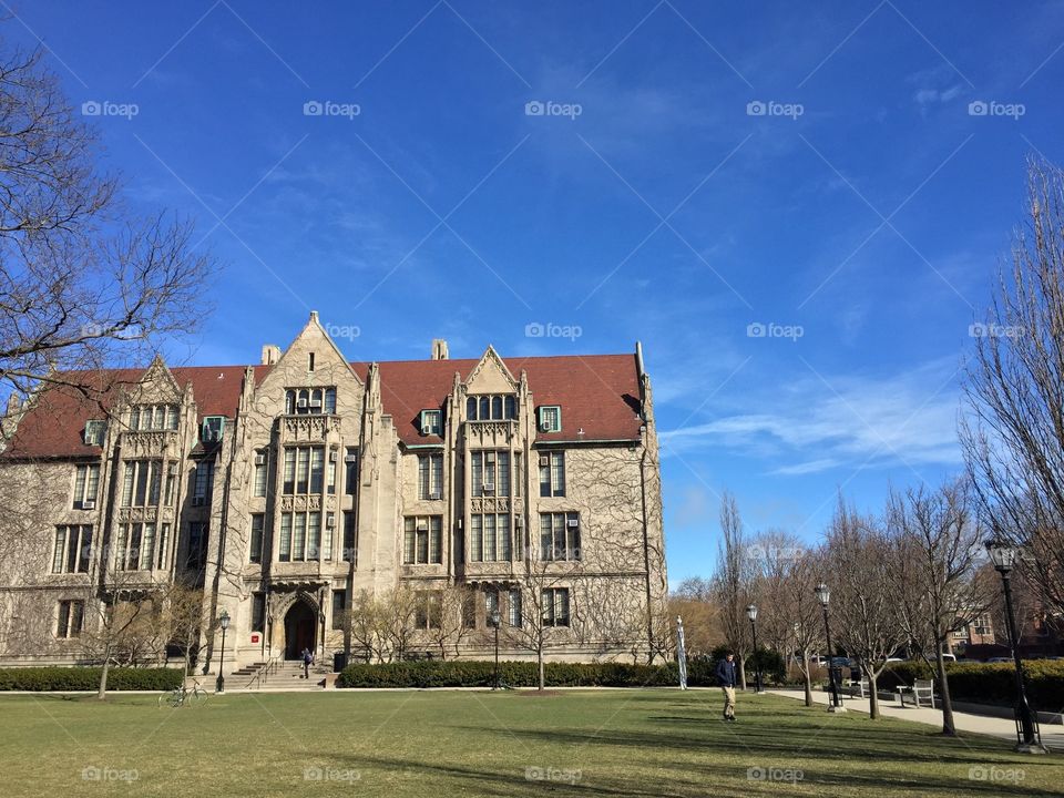 University of Chicago 