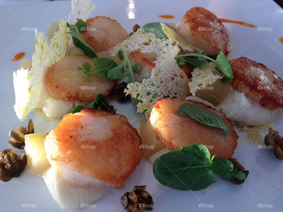 Scallops