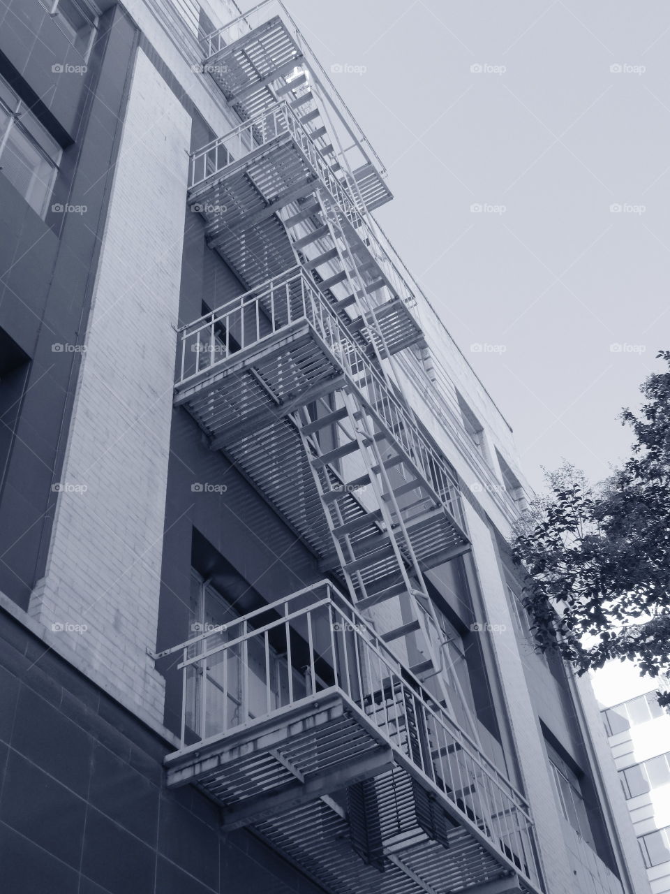 black and white architecture. in Sacramento California