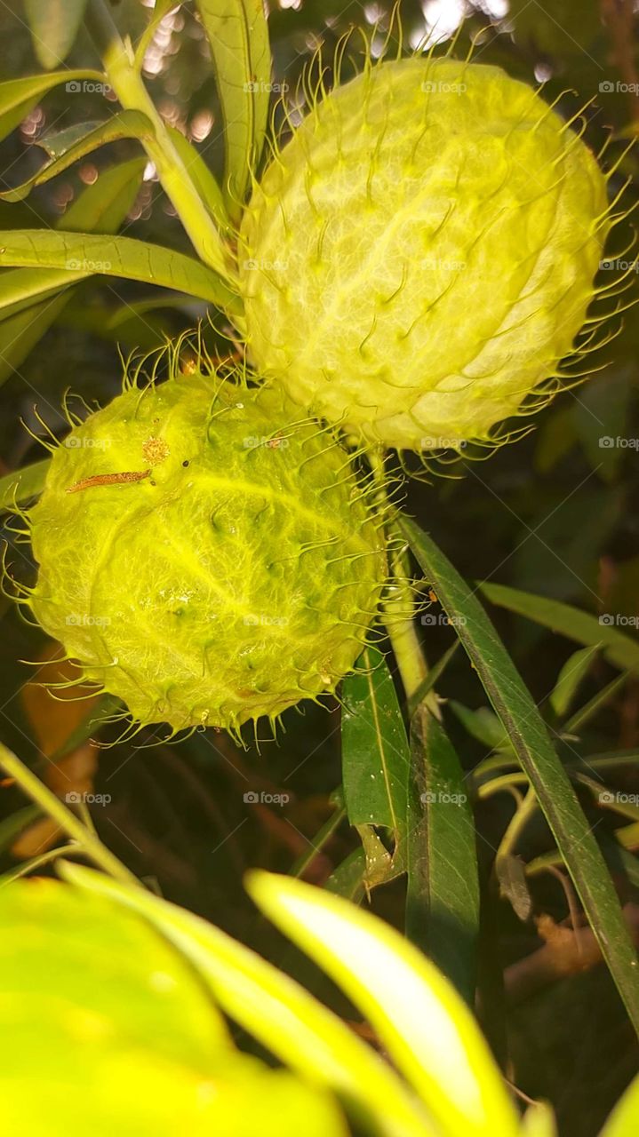 Nature has made man happy and good, but society depreciates him and makes him miserable.