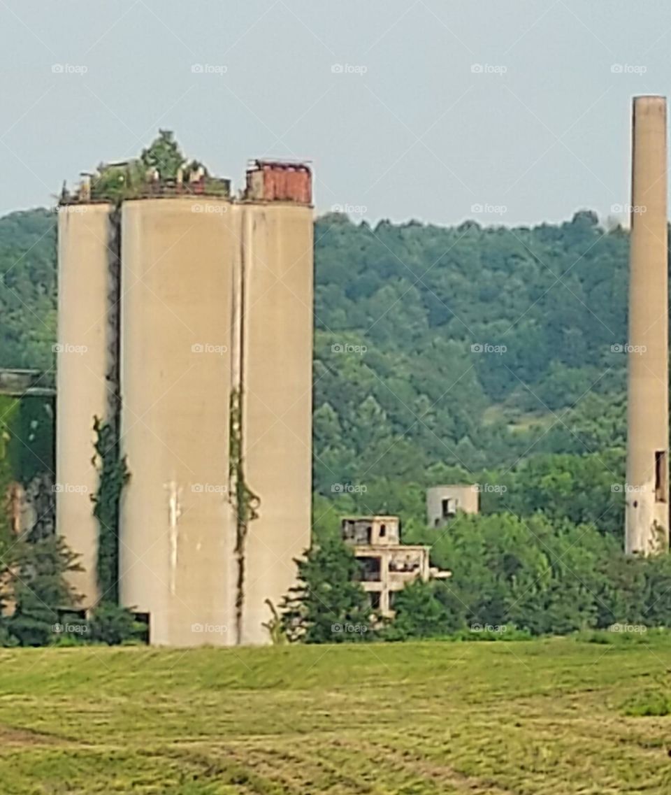 abandoned elevator with trees growing on top