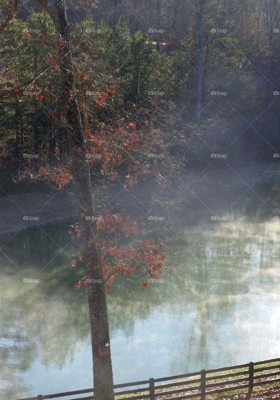 fog on Lake. outside of the cabin