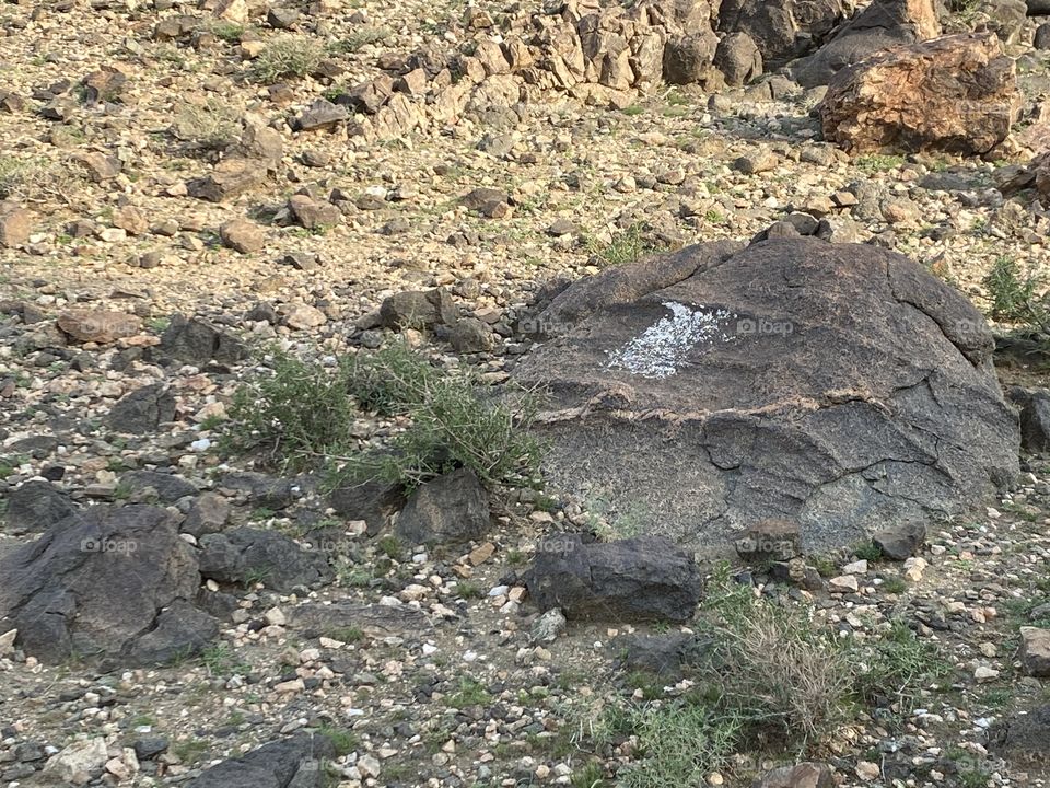 Amazing photo for desert 🌵