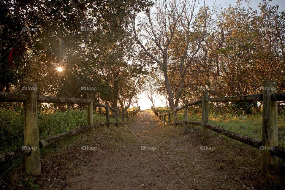 morning walk at the pathway entrance to the beach at Coffs Harbour, NSW, Australia