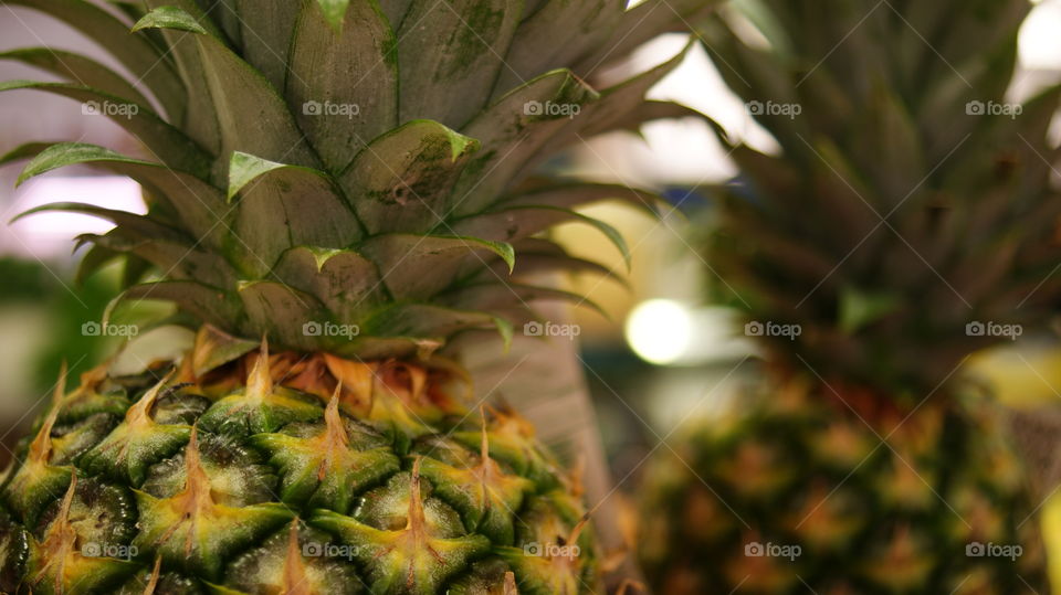 Pineapple, a delicious tropical fruit!