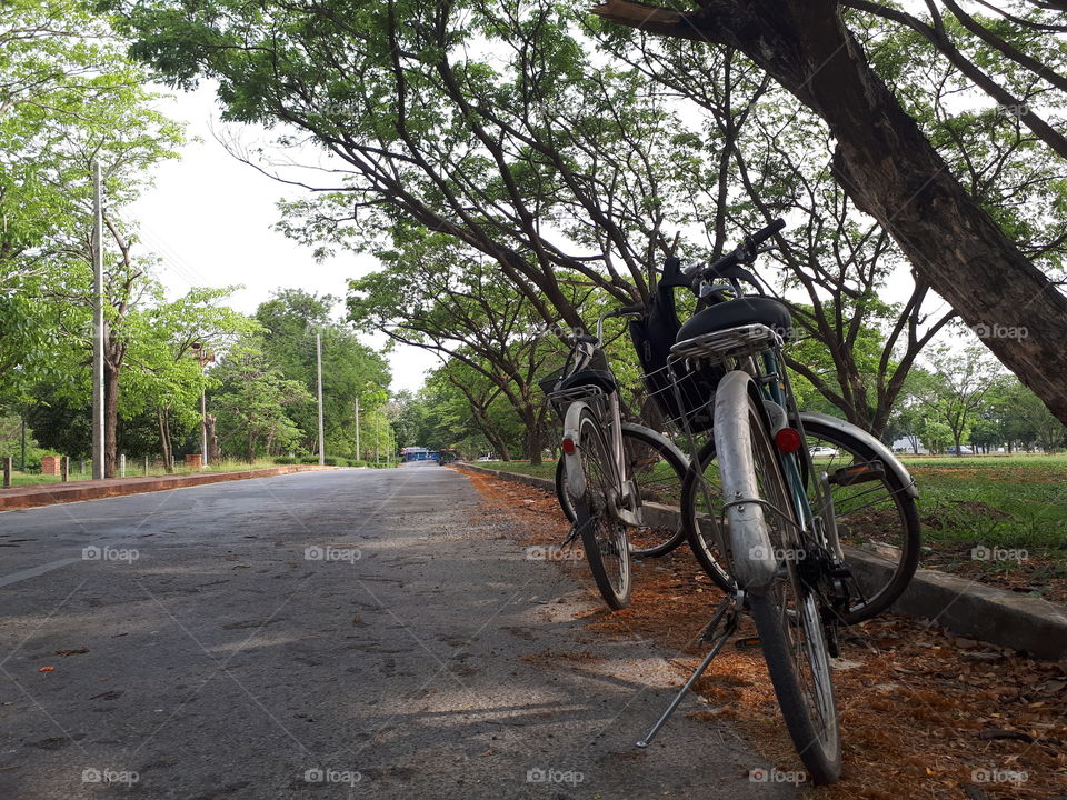 another day of my holiday, bike trip to the natural park in Ayutthaya, fresh air, a lot of trees, greem colour always made you feel so good.