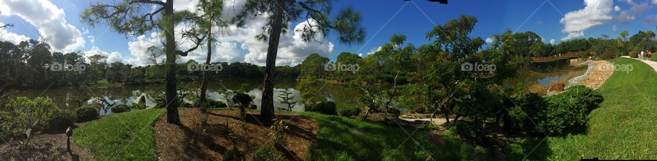 Morikami Panoramic . A panorama taken at Morikami, Japanese Garden in Florida.The photo does not do this wonderful place justice.
