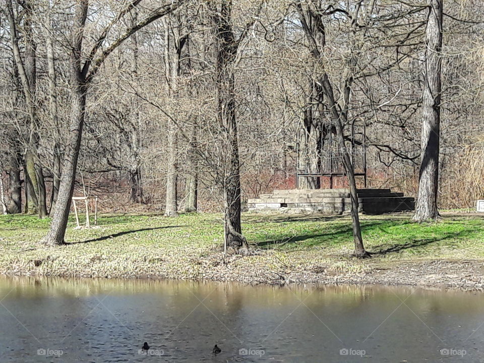 park spring time sun sunny colors colorful nature wild plants flowers amazing stunning cool nice weather hot lovely sky forest grass view splendid