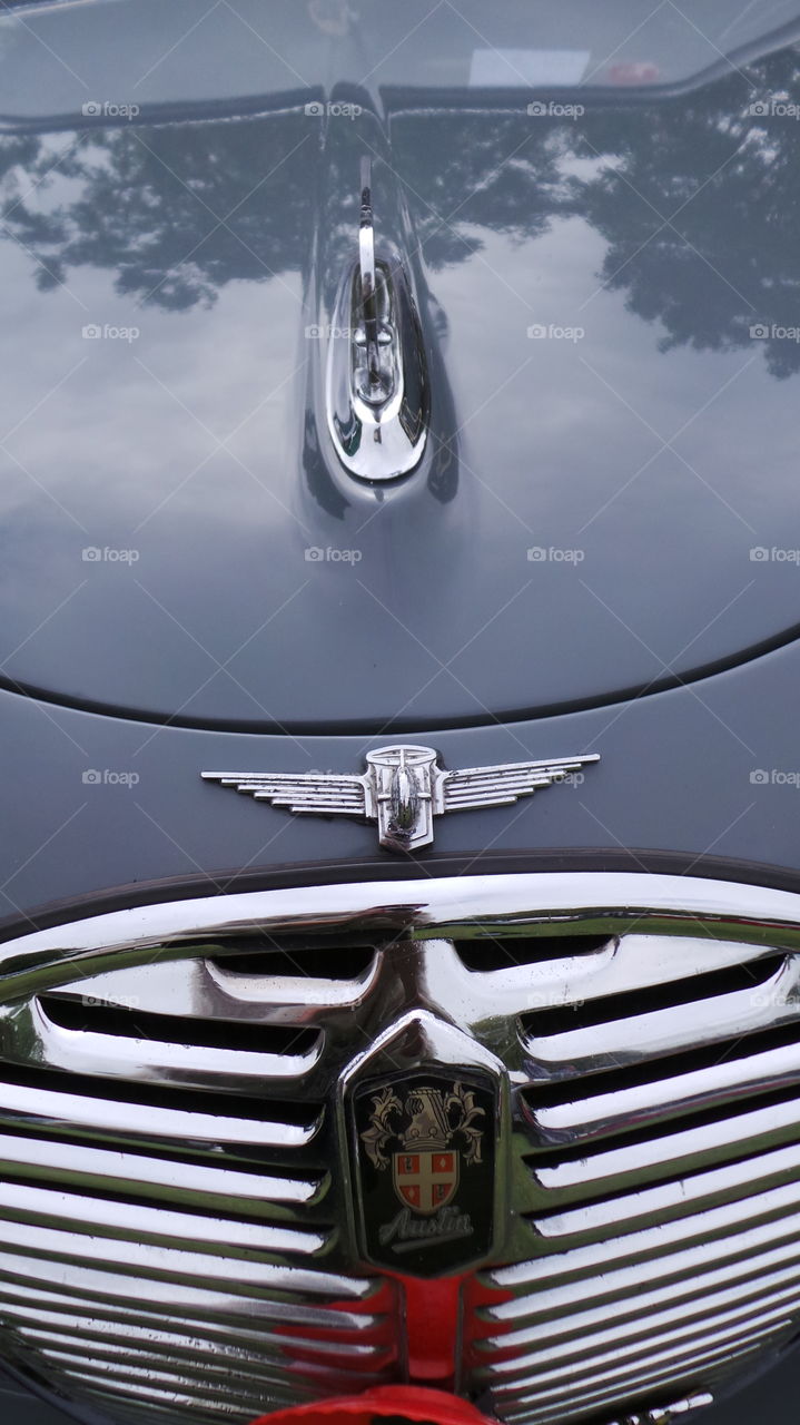 Hood ornament