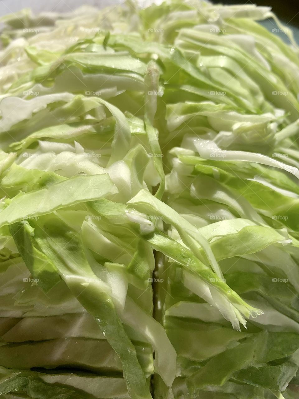 Green Cabbage sliced