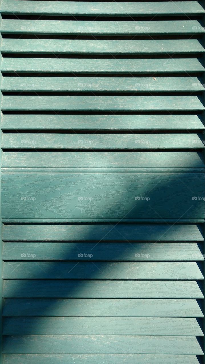 green shutter