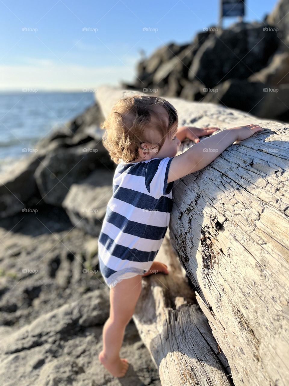 Toddler climbing driftwood