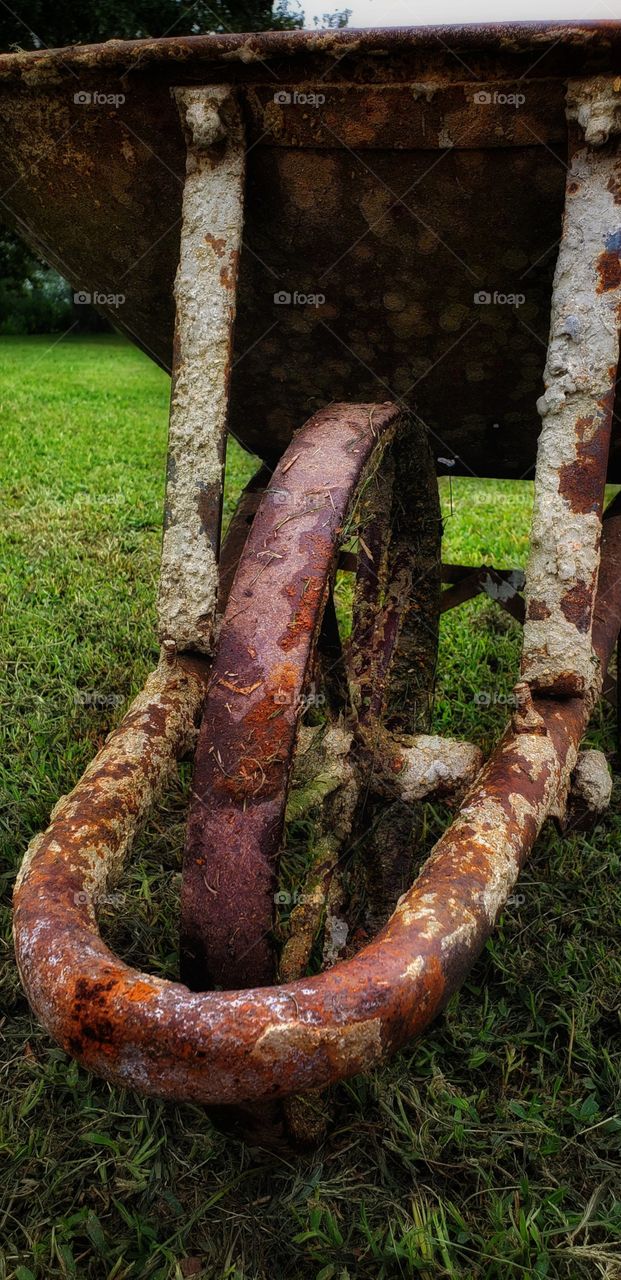 Rusty Wheelbarrow 