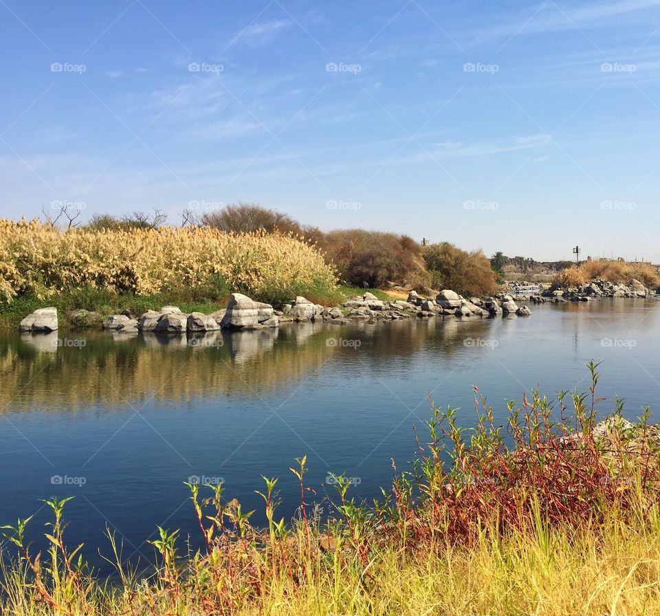 Nature along the blue Nile river 