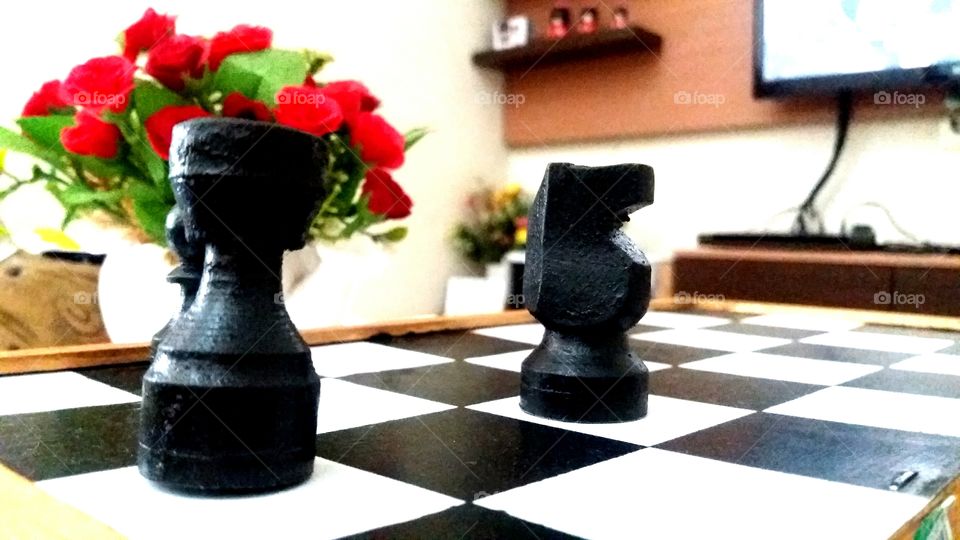 GYM BUNNY OR COUCH POTATO