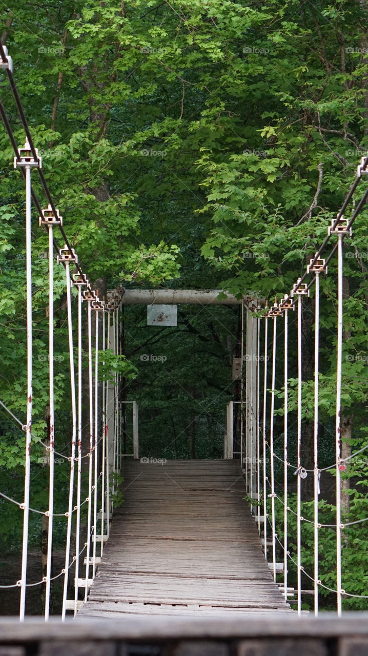 Wood, No Person, Outdoors, Bridge, Fence