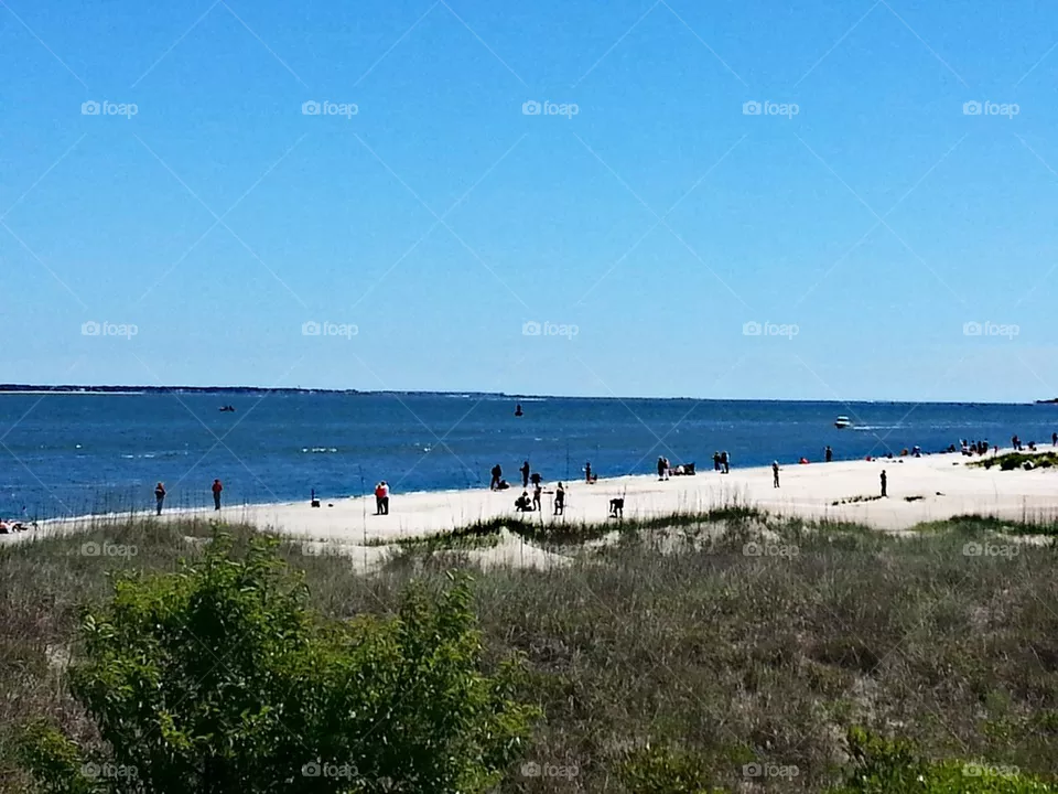 beach day