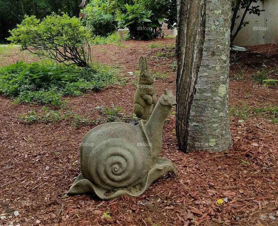 Stone snail and rabbit