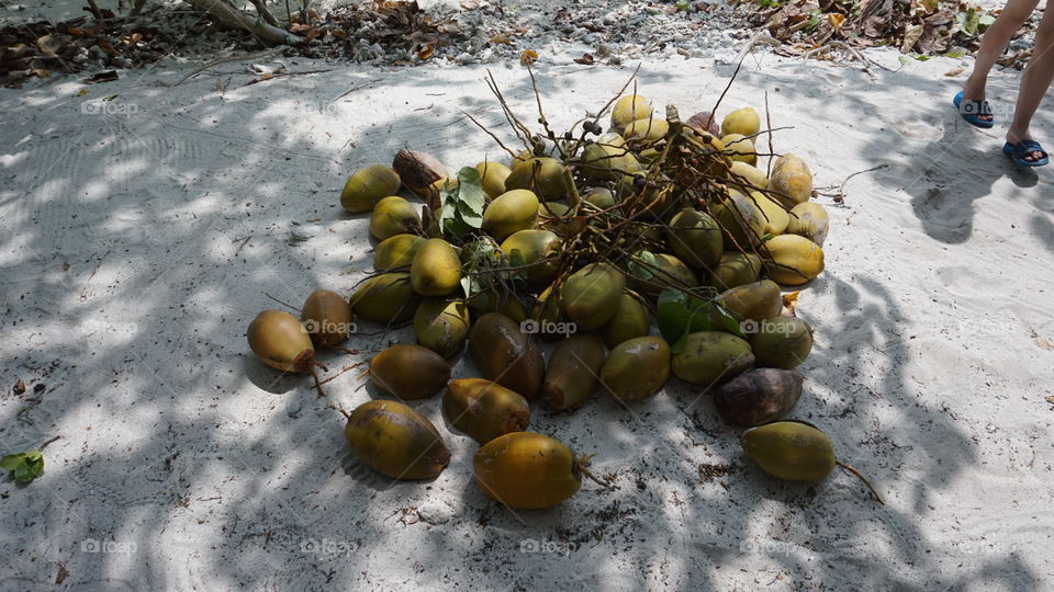 Coconuts in Maldives