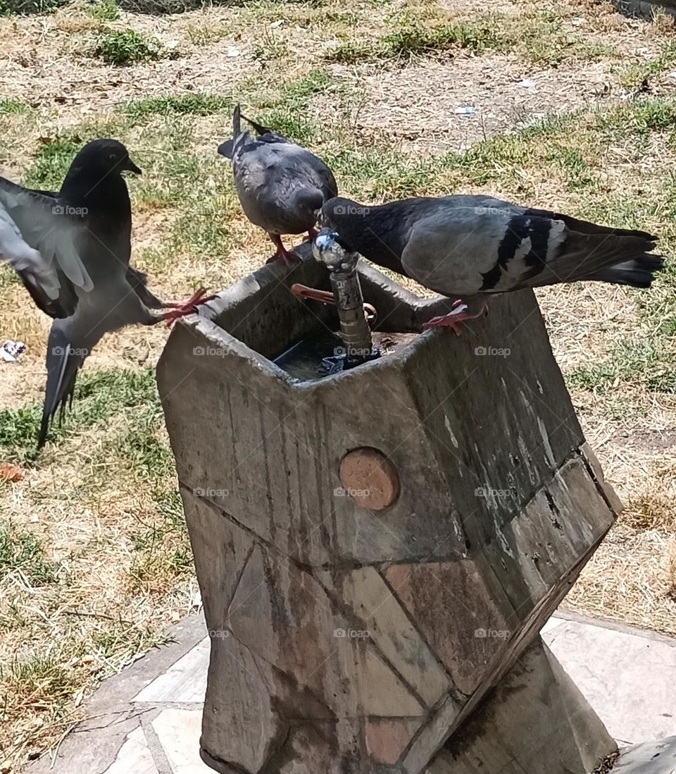 A beautiful creation of nature