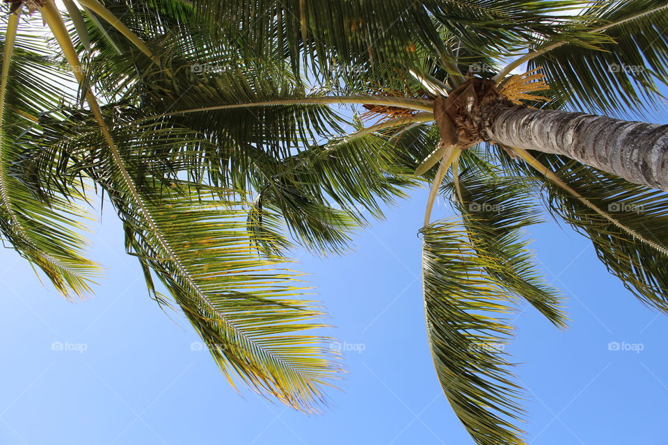 view from the hammock