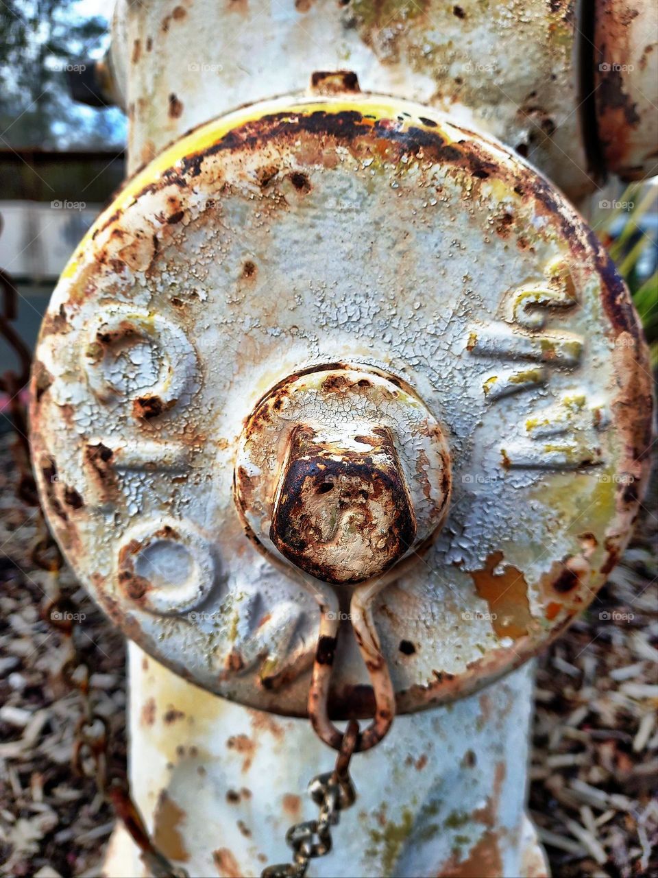 Round water cap for a rested white water hydrant