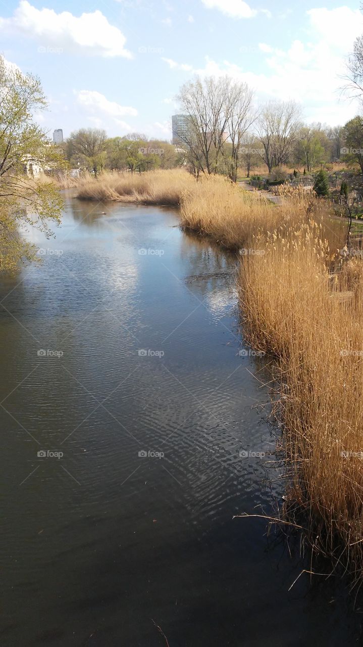 clear. spring water. nature
 simple