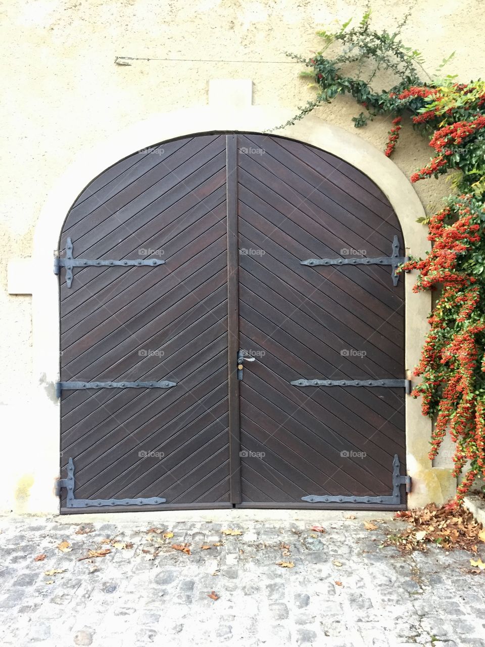 Old door