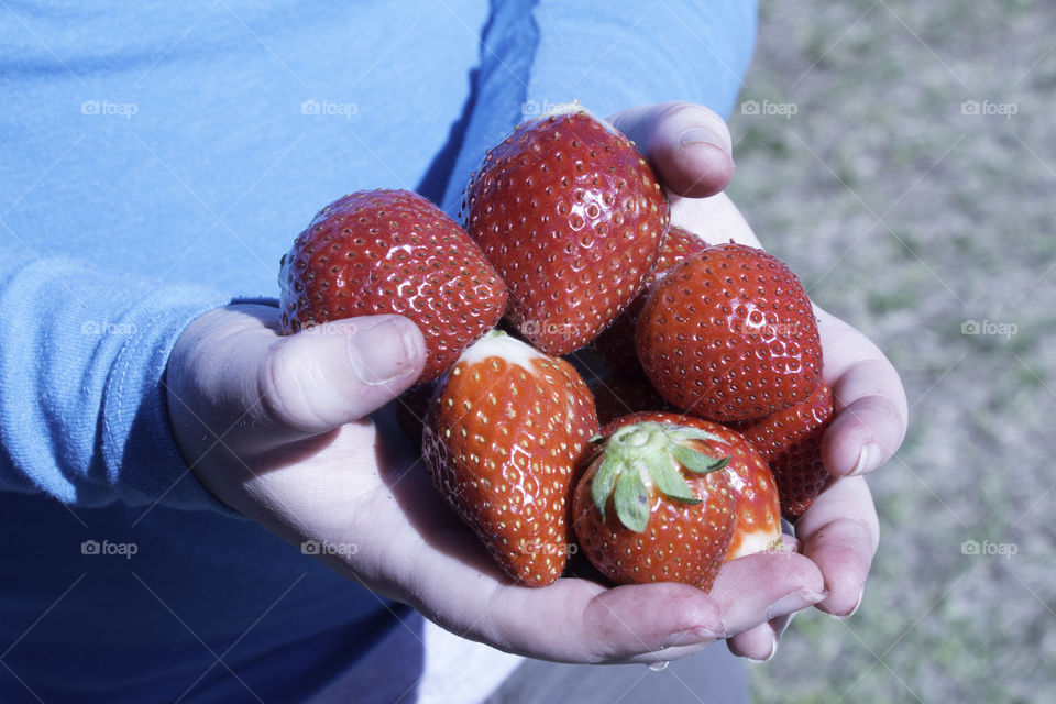 Handful of berries