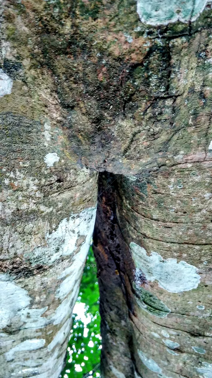 unique
