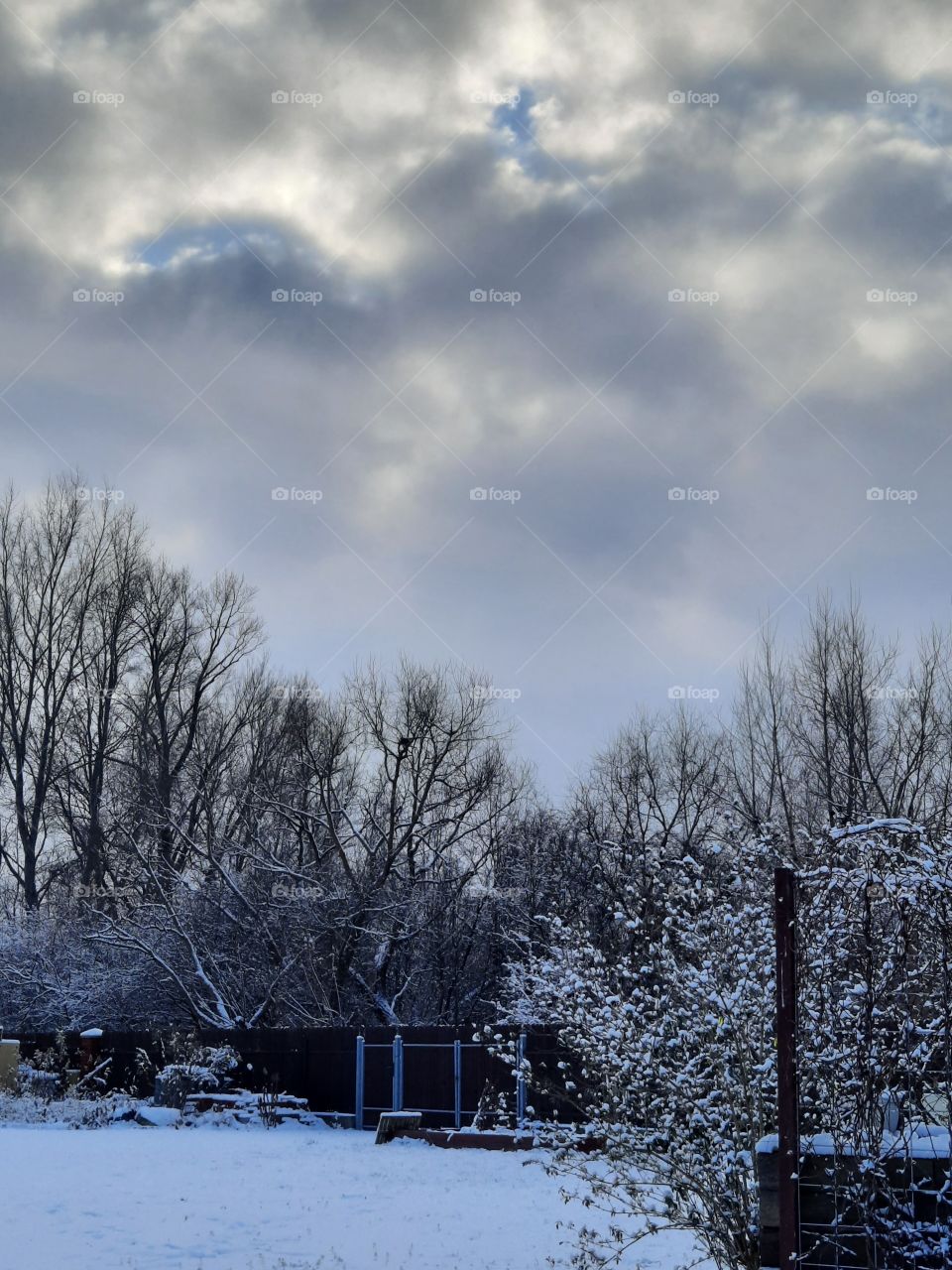 winter nature  -  garden after snow fall  with amazing bluish light and great sky