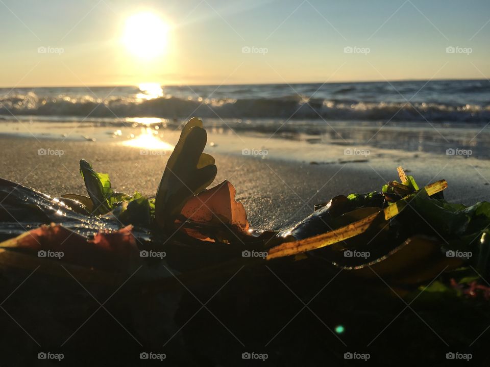 Water, Sunset, Beach, Sea, Ocean