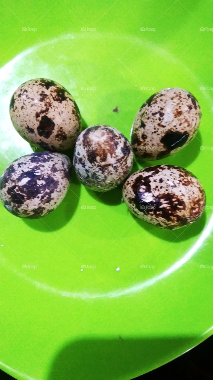 Quail Eggs:

Nutrient content:

Amount Per 100 g100 g - Calories (kcal) 158

Amount of Fat 11 g Saturated Fat 3.6 g Polyunsaturated Fat 1.3 g Monounsaturated Fibers 4.3 g Cholesterol 844 mg Sodium 141 mg Potassium 132 mg Total Carbohydrate 0.4 g Food
