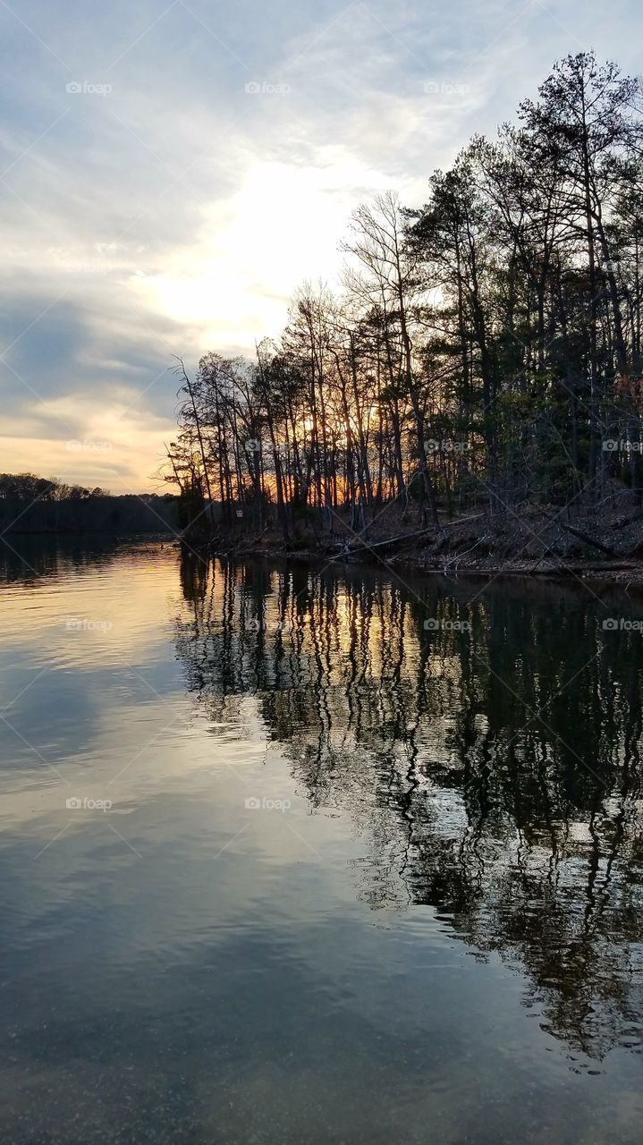 sun setting behind the trees