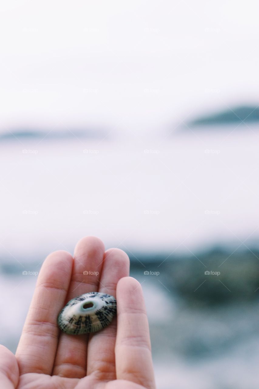 Beach Finds 