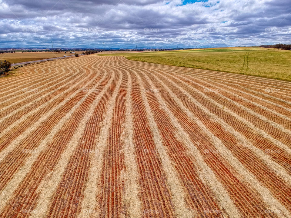 Tilled field