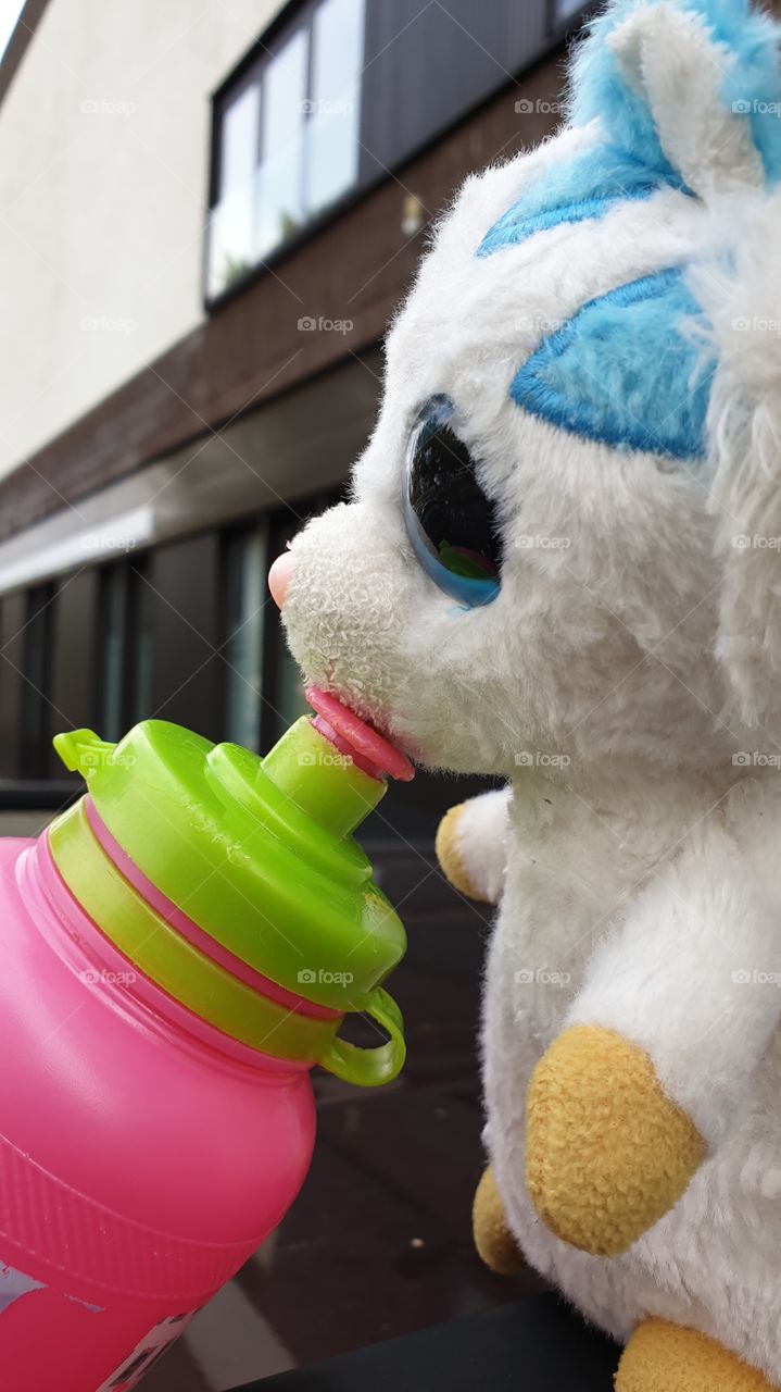 cuddly bear is drinking