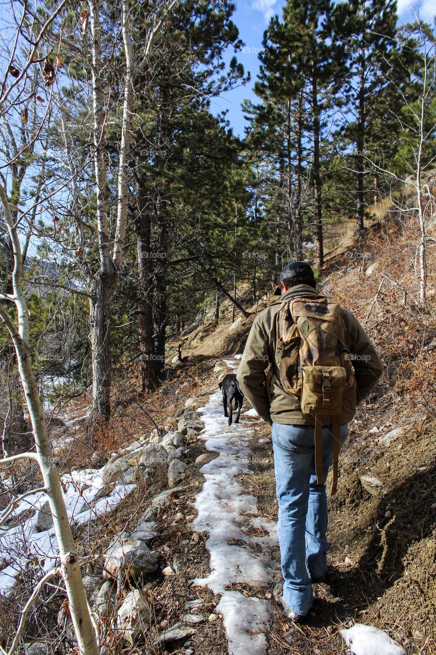 Hiking outdoors nature trail snowy adventure backpack pet dog tree hillside woods wanderlust wandering Wyoming bighorns